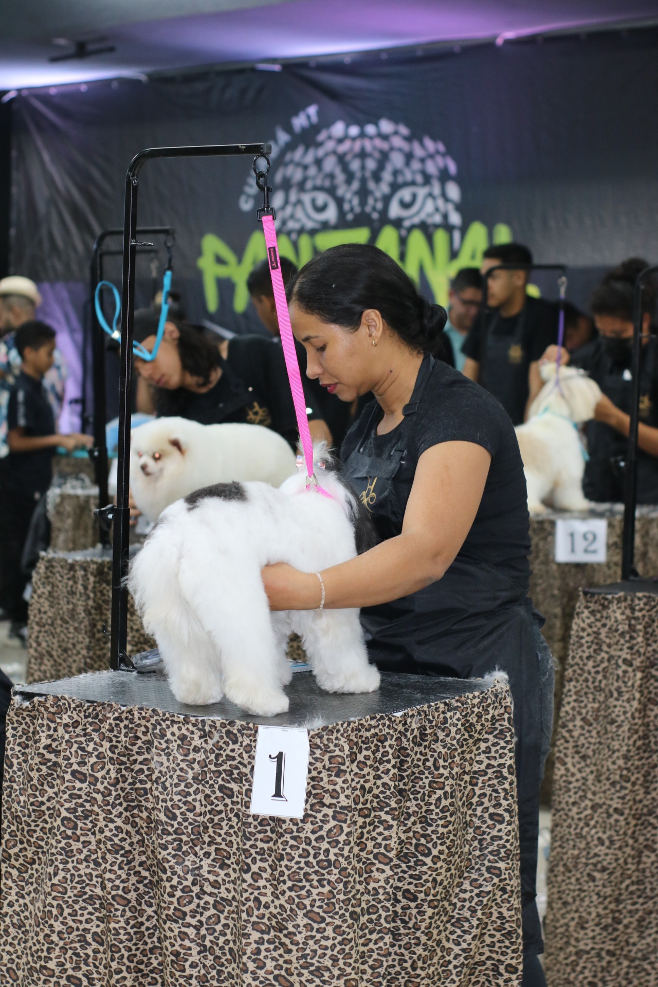 ExpoPet Cuiabá 2024 — foto 13